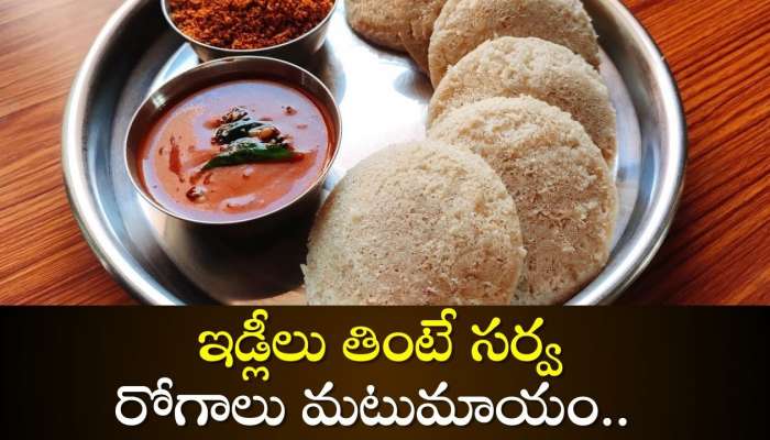 Jonna Pindi Idli: ఈ ఇడ్లీలు తింటే సర్వ రోగాలు మటుమాయం.. మీ ఆరోగ్యం కోసమే ఈ రెసిపీ..