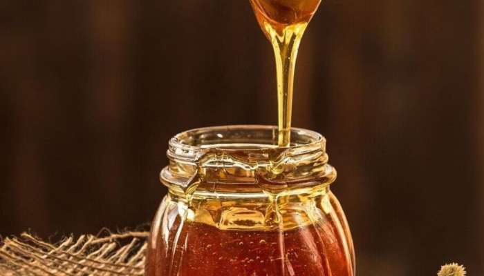 Honey In Winter: చలికాలంలో ప్రతిరోజు ఒక స్పూన్‌ తేనె తింటే ఎన్నో లాభాలు తెలుసా..