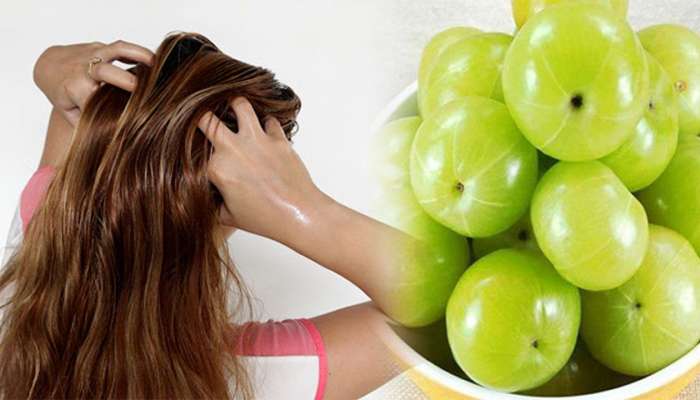 Hair Growth Tips: సెలబ్రిటీల నల్లటి, పొడవైనా జుట్టు సీక్రెట్‌ ఇదే..!!