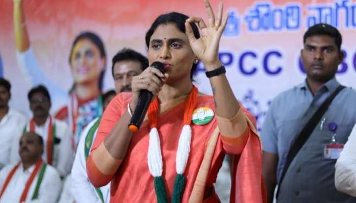 YS Sharmila: వైఎస్‌ జగన్‌ ఇంట్లోకి వెళ్లి అయినా సరే సజ్జల భార్గవ్‌ను అరెస్ట్‌ చేయాలి