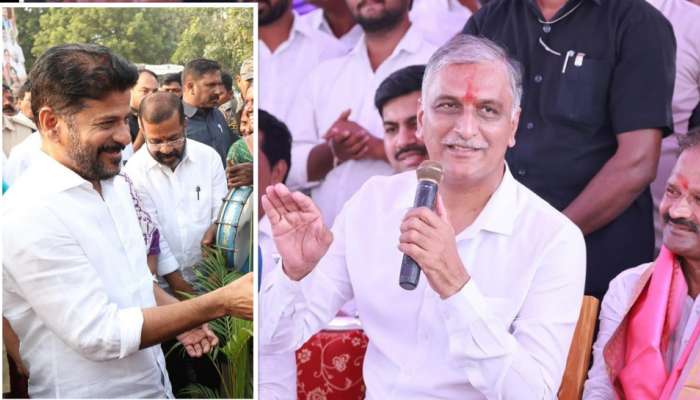 Harish Rao: రేవంత్‌కు హరీశ్‌ రావు స్ట్రాంగ్‌ కౌంటర్‌.. 'కేసీఆర్ కలుపు మొక్క కాదు కల్పవృక్షం'