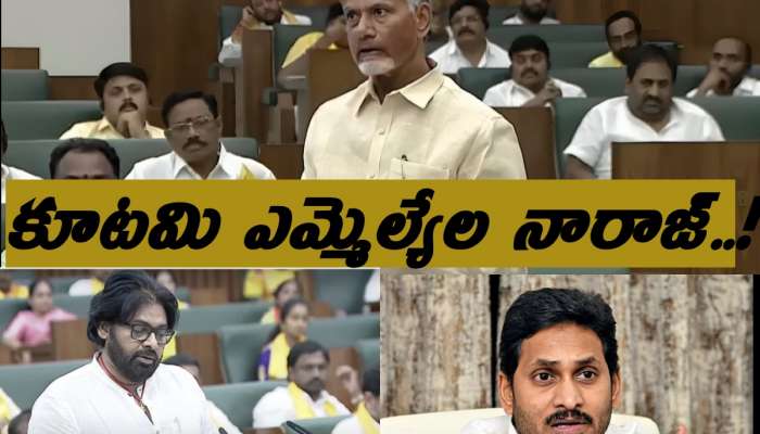 AP Assembly Budget Session: జగన్ పై టీడీపీ ఎమ్మెల్యేల బెంగ, అసెంబ్లీకీ రాకపోవడంతో కూటమి ఎమ్మెల్యేల నారాజ్.!