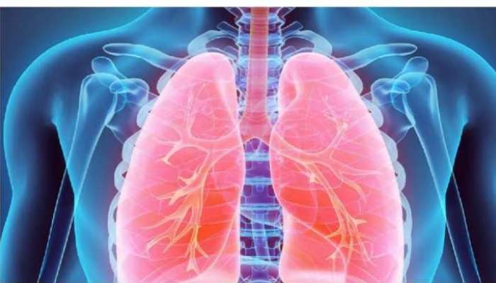 Healthy Lungs Remedies: ఈ ఫ్రూట్స్ తింటే చాలు ఊపిరితిత్తుల్లో పేరుకున్న చెత్తంతా డీటాక్స్