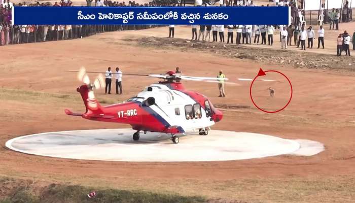 Stray Dog Tension At Revanth Reddy Helicopter Take Off Time In Vemulawada Video Viral Rv