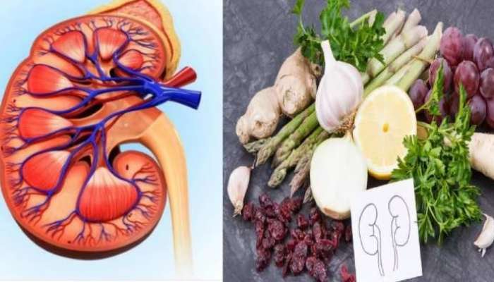 Kidney Superfoods: కిడ్నీ వ్యాధులకు చెక్ చెప్పే 4 వెజిటేరియన్ సూపర్ ఫుడ్స్ ఇవే