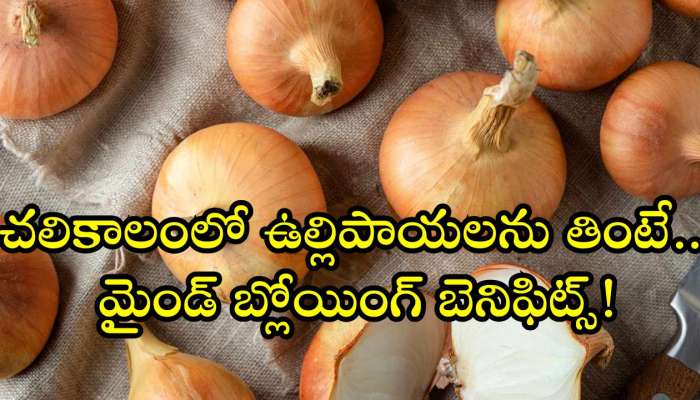 Raw Onion Benefits: చలికాలంలో ఉల్లిపాయలను తింటే.. మైండ్‌ బ్లోయింగ్ బెనిఫిట్స్!