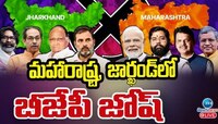 Election Results Live: మహారాష్ట్రలో సెంచరీ కొట్టిన బీజేపీ.. జార్ఖండ్‌లో జేఎంఎం పార్టీ విజయం