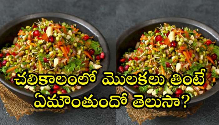 Sprouts Winter Benefits: చలికాలంలో మొలకలు తింటే ఏమౌంతుందో తెలుసా?