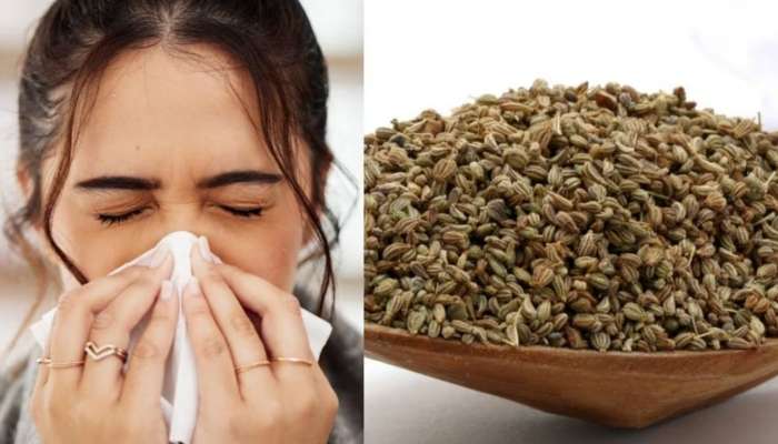 Ajwain Powder: తీవ్రమైన దగ్గు, జలుబు సమస్యలకు సర్వరోగ నివారిణి వాము..