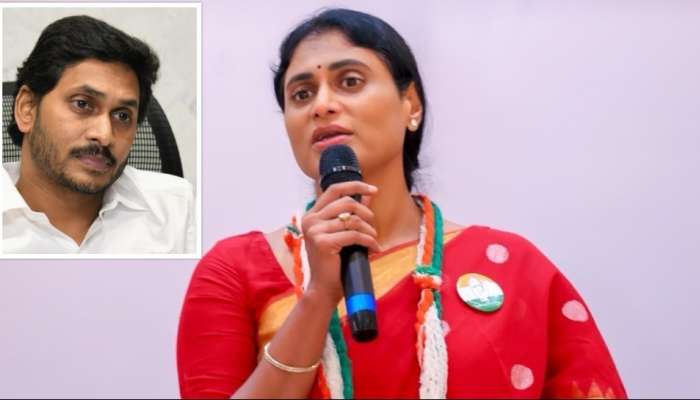 YS Sharmila: అదానీ ఒప్పందంపై జగన్‌ తన బిడ్డలపై ప్రమాణం చేయాలి.. వైఎస్‌ జగన్‌కు షర్మిల ఛాలెంజ్‌!