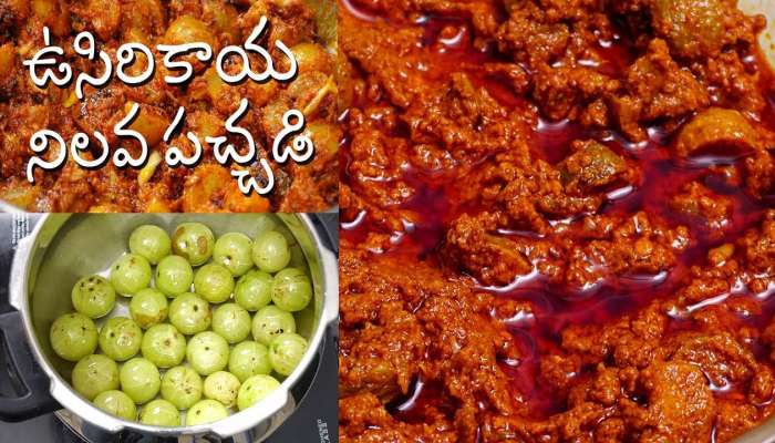 Amla Ginger Chutney: ఎవ్వరైనా ఈజీగా పెట్టగలిగే ఉసిరికాయ నిలవ పచ్చడి..!