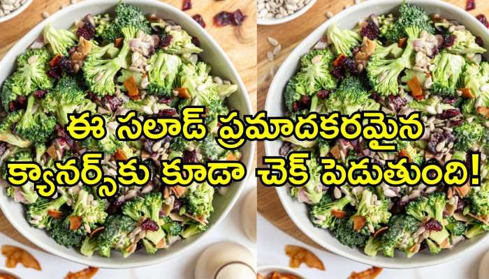 Broccoli Salad Recipe: ఈ సలాడ్‌ ప్రమాదకరమైన క్యానర్స్‌కు కూడా చెక్‌ పెడుతుంది!