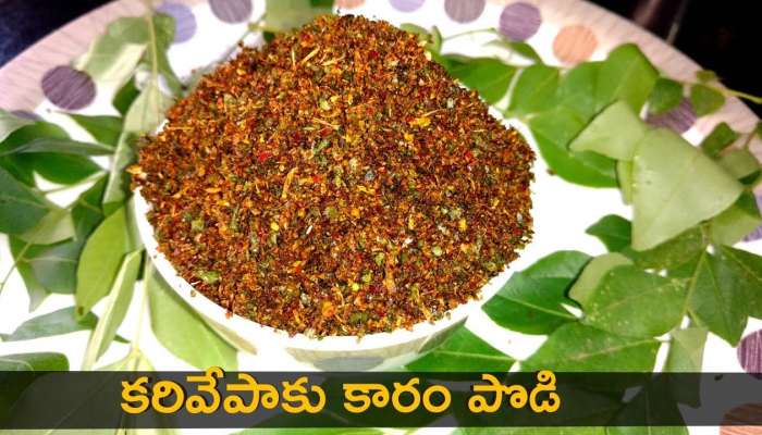 Curry Leaves: పక్కాకొలతలతో కరివేపాకు పొడి ఇడ్లీ దోస అన్నంలోకి అదిరిపోయే రెసిపీ..!