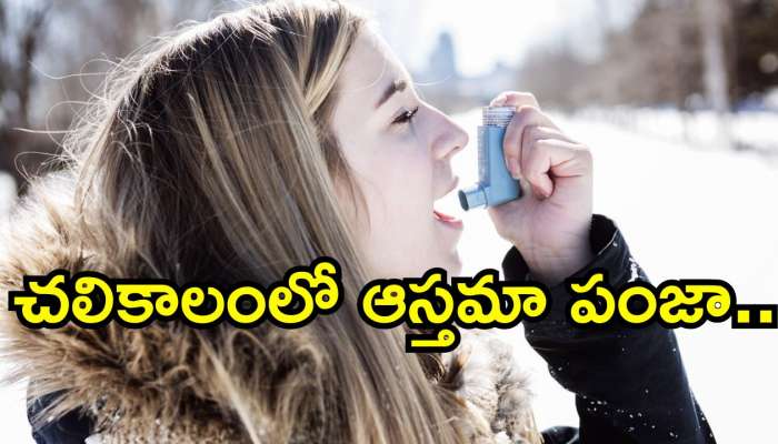 Asthma Winter Tips: చలికాలంలో ఆస్తమా పంజా.. ఇప్పటికే ఉన్నవారు ఇవి తప్పనిసరి..