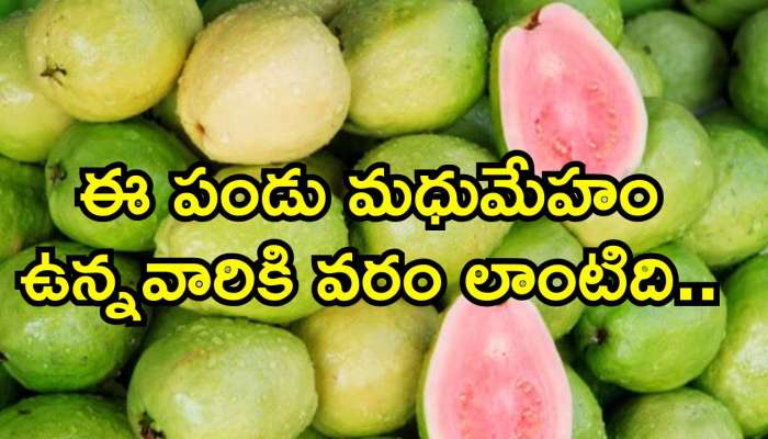 Pink Fruit: ఈ పండు మధుమేహం ఉన్నవారికి వరం లాంటిది.. ఎక్కడ దొరికిన వదలకండి..