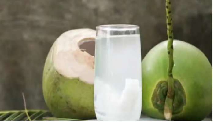 Coconut Water: కొబ్బరి నీళ్లు చలికాలంలో తాగొచ్చా లేదా,  ఏమౌతుంది