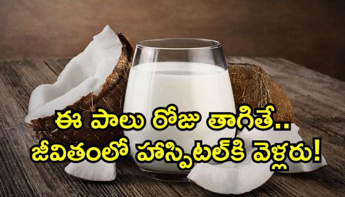 Coconut Milk Benefits: ఈ పాలు రోజు తాగితే.. జీవితంలో హాస్పిటల్‌కి వెళ్లరు!