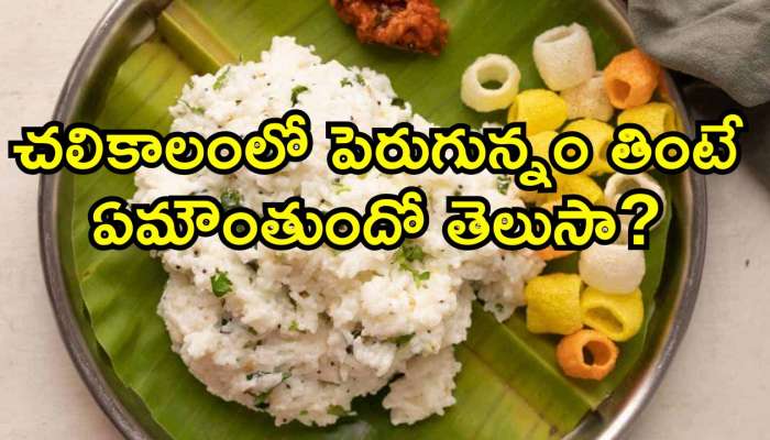 Curd Rice: చలికాలంలో పెరుగున్నం తింటే ఏమౌంతుందో తెలుసా?