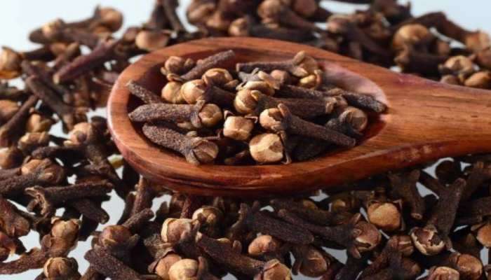 Cloves Benefits: రోజూ 2 లవంగాలు తింటే శరీరంలో ఎలాంటి మార్పులు జరుగుతాయో తెలుసా