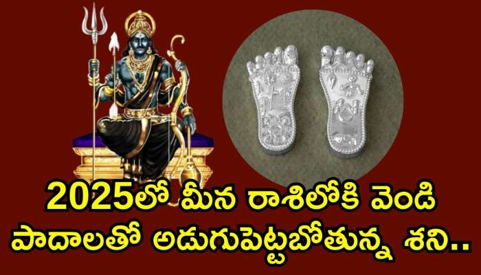 Silver Foot Shani Dev: 2025లో మీన రాశిలోకి వెండి పాదాలతో అడుగుపెట్టబోతున్న శని.. ఈ రాశుల వారిపై కాసుల వర్షమే!