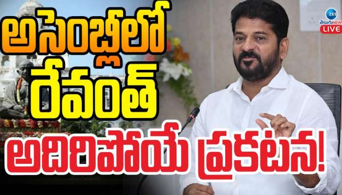 Revanth Reddy on Assembly: అసెంబ్లీలో రేవంత్ అదిరిపోయే ప్రకటన.. 