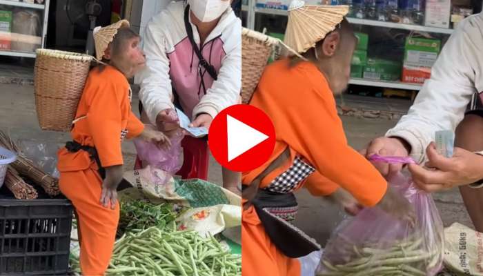 Very Rare Monkey Video: ఈ కోతి పనులే వేరబ్బా.. మార్కెట్‌లో కూరగాయలు కొనడమేంటి.. వీడియో మీరే చూడండి!