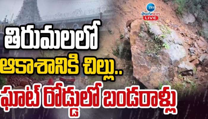 Tirumala Rains: తిరుమలలో ఆకాశానికి చిల్లు.. ఘాట్ రోడ్డులో బండరాళ్లు..స్కూళ్లకు సెలవులు..