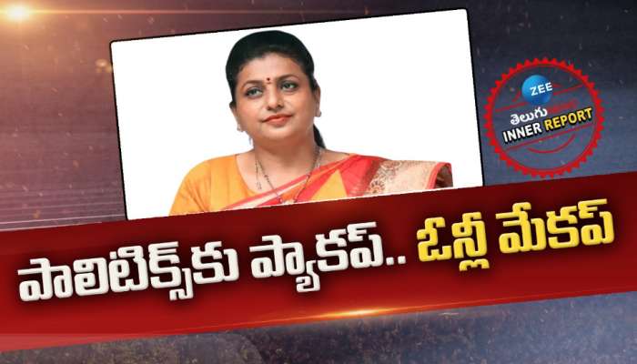 Chittur Politics: పాలిటిక్స్‌కు ప్యాకప్‌.. ఓన్లీ మేకప్‌