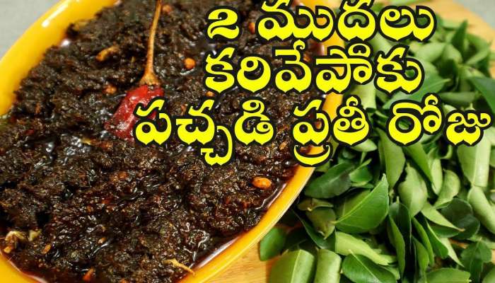 Karivepaku Chutney: కరివేపాకు పచ్చడి నోటికి భలే రుచిగా ఉంటుంది..