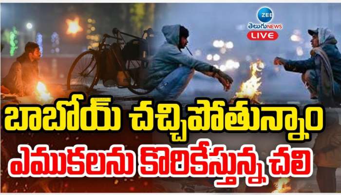 Cold Waves: బాబోయ్ చచ్చిపోతున్నాం.. ఎముకలను కొరికేస్తున్న చలి.. 