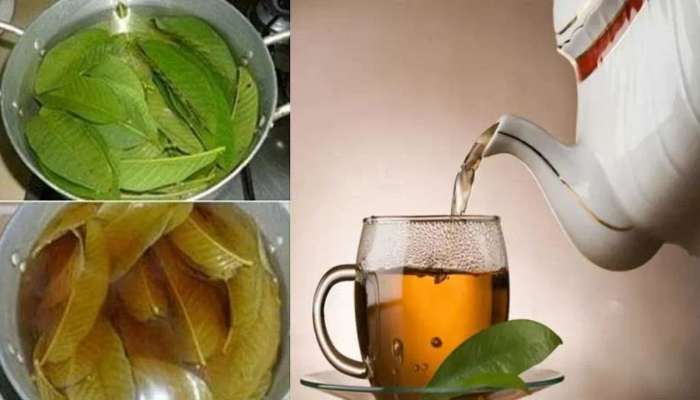 Guava Leaves Tea: షుగర్‌, హైబీపీ తగ్గించే అద్భుతమైన ఔషధం జామ ఆకుల టీ..!