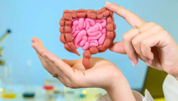 Gut Health: చలికాలంలో మీ గట్ హెల్త్‌ మెరుగుగా పనిచేయాలంటే ఈ టిప్స్‌ పాటించండి..!