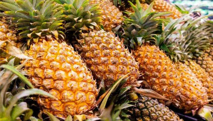 Pineapple: చలికాలంలో వచ్చే  జలుబు, దగ్గుకు ఈ పండు దివ్యౌషధం...