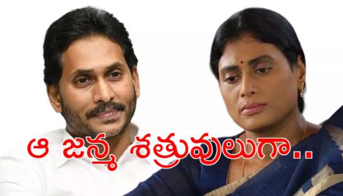 YS Jagan Sharmila: బర్త్ డేకు విష్ చేయని షర్మిల! వైఎస్‌ జగనన్న అంటే అంత కోపమా?