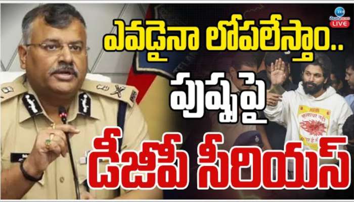 DGP Jitender Reddy: హీరో అయితే మాకేంటీ..?.. అల్లు అర్జున్‌పై మండి పడిన డీజీపీ.. ఏమన్నారంటే..?