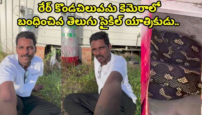 Rare Python Video: రేర్ కొండచిలువను కెమెరాలో బంధించిన తెలుగు సైకిల్ యాత్రికుడు.. ఆ స్నేక్ ఎలా ఉందో చూస్తారా?