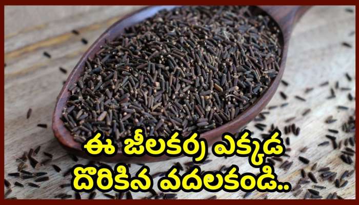 Black Cumin Benefits: ఈ జీలకర్ర ఎక్కడ దొరికిన వదలకండి.. దీని బెనిఫిట్స్ తెలిస్తే ఆశ్చర్యపోతారు..