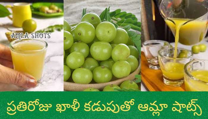 Amla Shots: ప్రతిరోజు ఖాళీ కడుపుతో ఆమ్లా షాట్స్ తాగుతే  బోలెడు లాభాలు మీసొంతం.. 