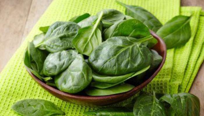 Malabar Spinach: బచ్చలికూర ఎందుకు ఆరోగ్యకరమైనది? ఎవరు తినకూడదు..