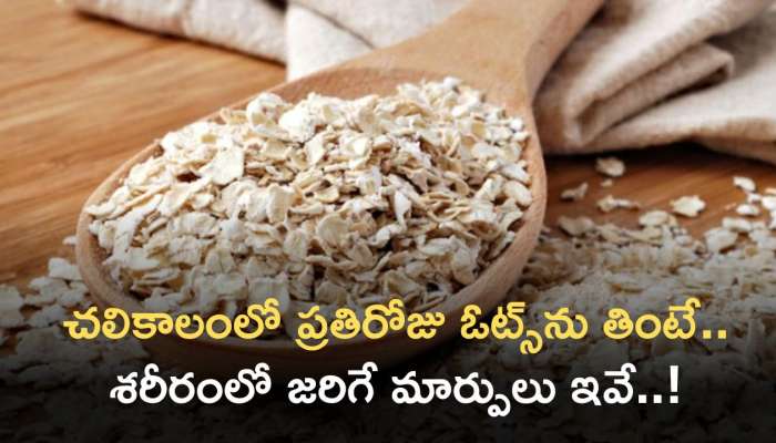 Oats Benefits: చలికాలంలో ప్రతిరోజు ఓట్స్‌ను  తింటే.. శరీరంలో జరిగే మార్పులు ఇవే..!