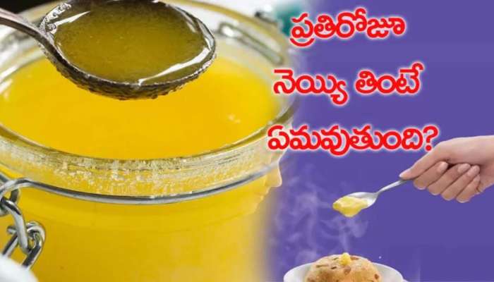 Weight Gain Tips: నిజంగా నెయ్యి తింటే బరువు పెరుగుతారా?  నెయ్యి వల్ల కలిగే ప్రయోజనాలు  ఇవే.. 