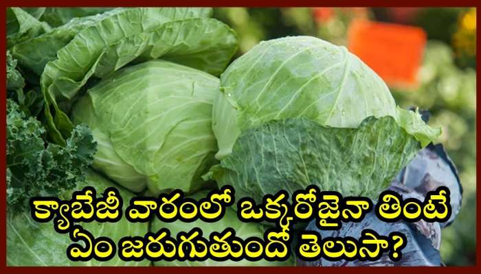 Cabbage Health Facts: క్యాబేజీ వారంలో ఒక్కరోజైనా తింటే ఏం జరుగుతుందో తెలుసా? 