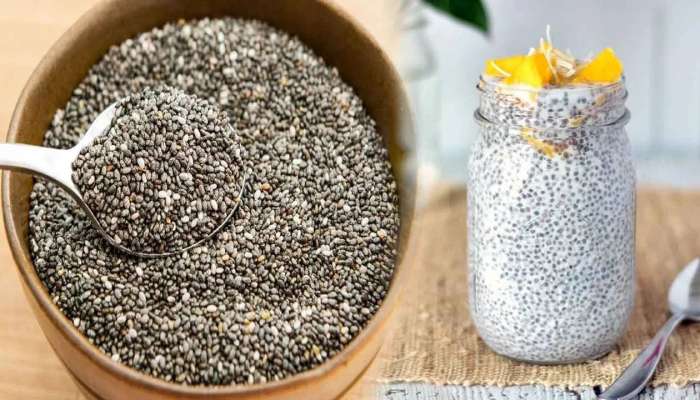 Chia Seeds Benefits: చియా విత్తనాలతో  ఈ వ్యాధులకు చెక్ పెట్టొచ్చు..