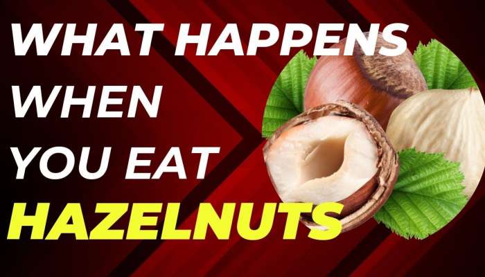 Hazel Nuts: హేజల్‌ నట్స్ తినడం వల్ల కలిగే అద్భుతమైన లాభాలు ఇవే..