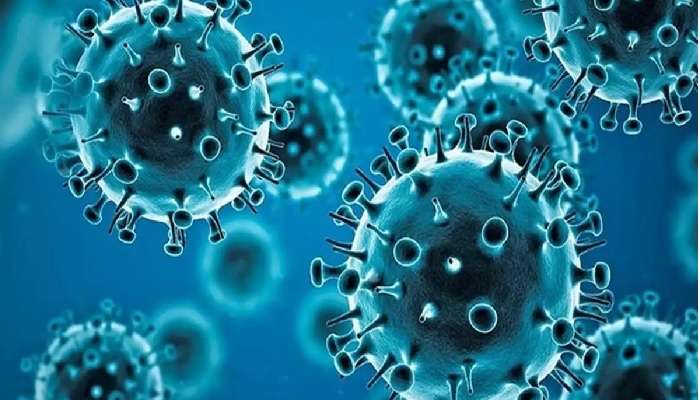 HMPV Virus: తీవ్రంగా మారనున్న చైనా వైరస్, హెచ్ఎంపీవీ ముప్పు