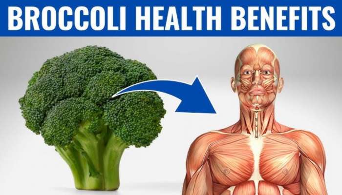 Broccoli: బ్రేక్‌ఫాస్ట్‌లోకి బ్రోకలీ తింటే ఎన్ని ఆరోగ్య ప్రయోజనాలో తెలుసా..?