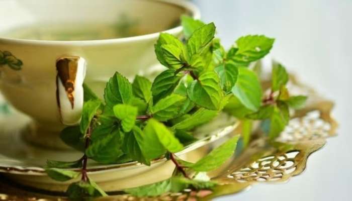 Peppermint Tea: చలికాలంలో పుదీనా టీ తాగడం వల్ల కలిగే ప్రయోజనాలేంటో తెలుసా?