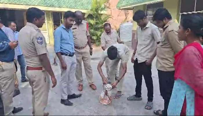 Double Head Snake Creates High Tension In Hyderabad Video Viral Rv