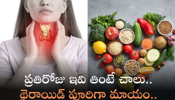 Hypothyroidism: ప్రతిరోజు ఇవి తింటే చాలు.. థైరాయిడ్‌ పూరిగా మాయం..!