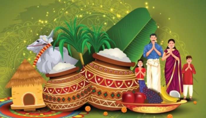 Kanuma Festival: కనుమ రోజు ప్రయాణాలు ఎందుకు చేయకూడదు..?.. దీని వెనుక ఉన్న అసలు స్టోరీ ఏంటంటే..?